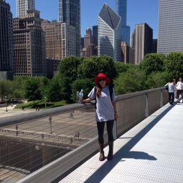 Bridge to Art Institute of Chicago